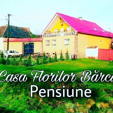 Ferienwohnung Casa Florilor Barcut Exterior foto