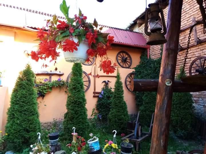 Ferienwohnung Casa Florilor Barcut Exterior foto