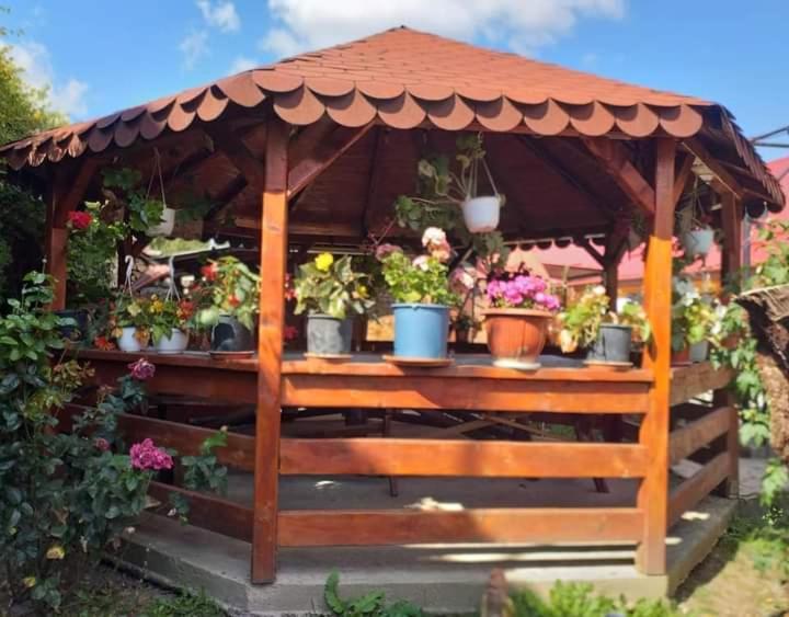 Ferienwohnung Casa Florilor Barcut Exterior foto