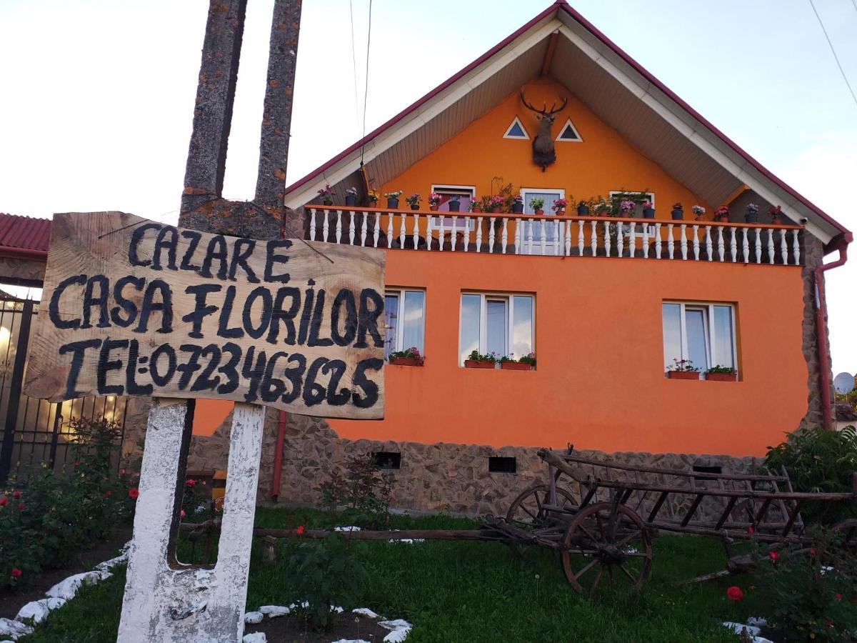 Ferienwohnung Casa Florilor Barcut Exterior foto
