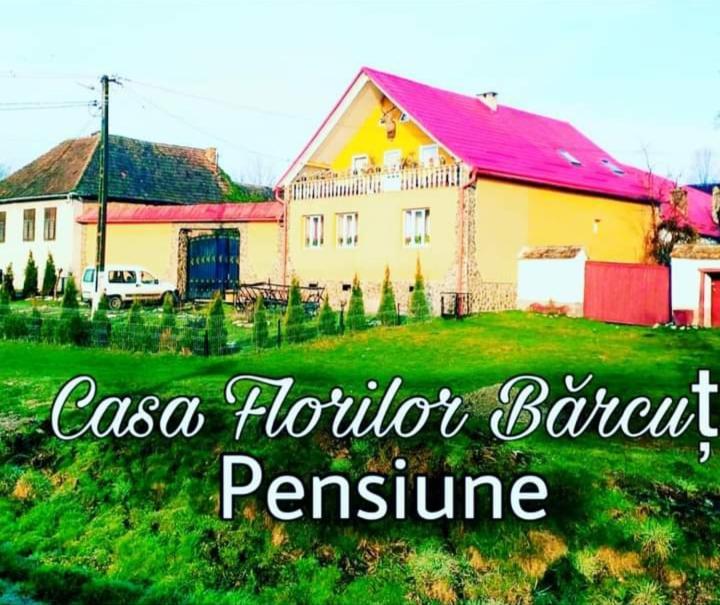 Ferienwohnung Casa Florilor Barcut Exterior foto
