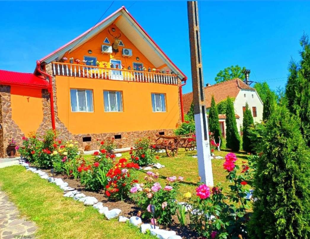 Ferienwohnung Casa Florilor Barcut Exterior foto